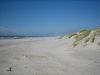 Blick Nach Norden Am Nymindegab Strand